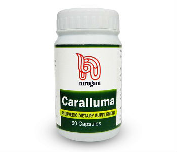 Nirogam Caralluma Review Nirogam Caralluma Weight Loss Supplement Review