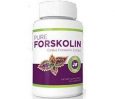 Vitality Max Labs Forskolin Weight Loss Supplement Review
