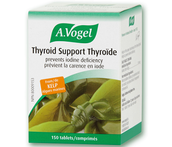 A Vogel Thyroid Support Review - For Increased Thyroid Support