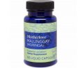 Motherlove Malunggay Moringa Review - For Weight Loss and Improved Moods