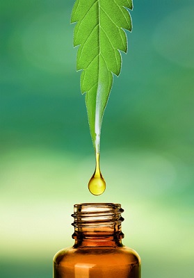 Bottle of CBD Oil